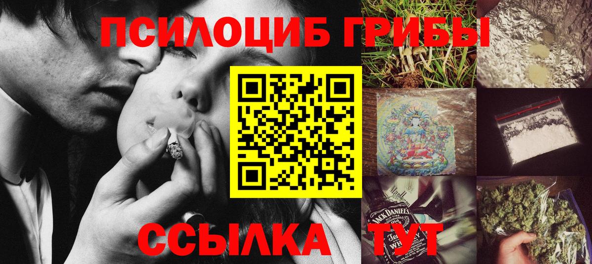 Ессентуки  Галлюциногенные грибы прущие грибы  Вход с VPN 